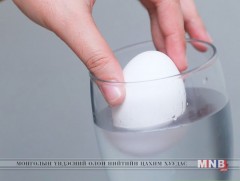 Шинэхэн өндөг мөн үү биш үү