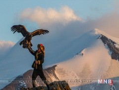 Япончууд бүргэдчин охинд хамтран ажиллах санал тавьжээ