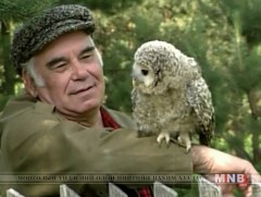 Утсан дээрх шувуу 