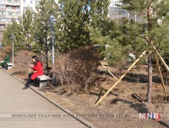 ХСҮТ-ийн гадна талбайн тохижилтын ажил дууслаа