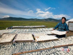 Дархлаа дэмжигч хүнсний бүтээгдэхүүн №1