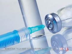 Томуугийн эсрэг дархлаажуулалт үргэлжилж байна