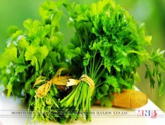 Яншуй бол байгалийн гаралтай, хамгийн хямд бөөр цэвэрлэгч...