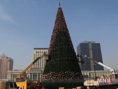 Төв талбайн сүлд модыг чимэглэх ажил энэ сарын 15-нд дуусна