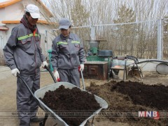 Малын өтөг бууцаар жилд 30-50 мянган тонн бордоо гаргах боломжтой