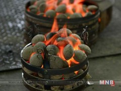 Эко түлш хэрэглэх бодлого барина