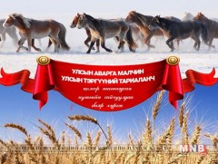 Говь-Алтайгаас улсын хошой аварга малчинд нэг, аварга малчинд есөн хүн нэр дэвшжээ