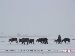 Говь-Алтай аймгийн Шарга, Халиун суманд өвөлжилт хүндэрч байна