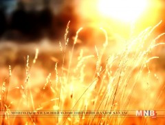 “Өвсний гэгээ” байгалийн зураглал 