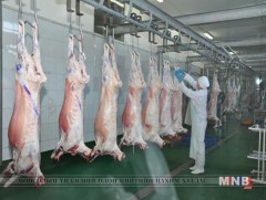 Шүлхий өвчин гарсантай холбоотойгоор нөөцийн махны үнэ нэмэгдэхгүй