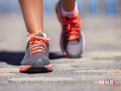 Зөв алхацгаая 