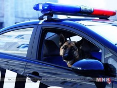 Он гарсаар тусгай ажиллагаагаар хар тамхины 24 хэргийг илрүүлжээ