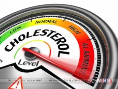 Холестерин гэж юу вэ
