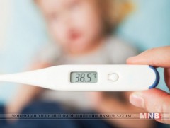 Бруцеллёз өвчний эмнэлзүйн шинж тэмдэг