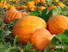 Хулууны ач тус 