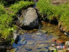 Сонирхолтой Улаанбаатар: Рашаан ус 