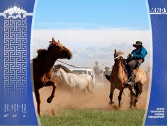 Эрийн хийморь