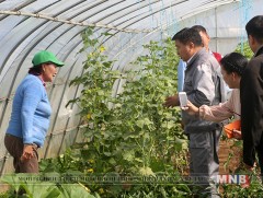 Ажилгүй иргэдийг хүнсний ногоо тарих, даршлах зэрэг сургалтад хамруулж байна 
