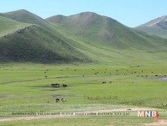 Нийслэл хот хөдөө аж ахуйн бүстэй болов