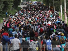 Гватемалаар дамжин АНУ-ыг зорьж байгаа цагаачид дээр Гондурасын иргэд нэмэгдэн очиж байна