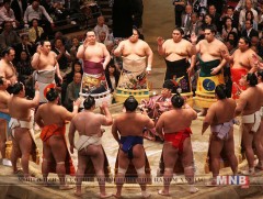 Монголын сүмо бөхийн холбоо 25 жилийн ойгоо тэмдэглэнэ