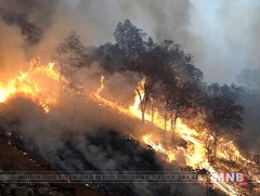 Түймэрт амиа алдсан хүний тоо 44 болж нэмэгдлээ