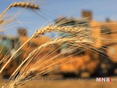 Энэ жил 444.7 мянган тонн үр тариа хураан авлаа