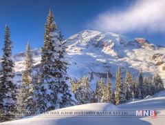 Ойн зулзган модонд тохиолдсон явдал 