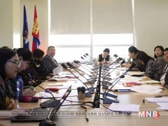 Hийслэл, дүүргүүдийн жендэрийн дэд хѳтѳлбѳр боловсруулах ажлын хэсэг хуралдлаа