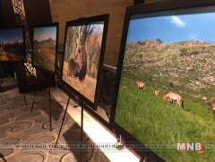 Байгалийн гэрэл зургийн үзэсгэлэн нээлтээ хийлээ