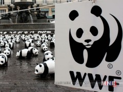 Хөхтөн амьтан, хоёр нутагтан, хэвлээр явагчдын 60 хувь нь “устжээ”