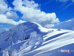 Өвлийн зэрэглээ