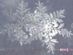 Шинэ цасны хэлбэр