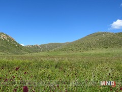 Хар Ямаатын БНГ-ын менежментийн төлөвлөгөөг баталлаа