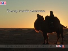 Тэнэгэр говийн тэмээчин