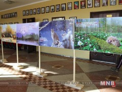 Хар ямаатын БНГ-ын нээлттэй хаалганы өдөрлөг болов