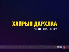 Хайрын дархлаа