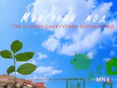 Мөнгөний луйвар ба цахим гэмт хэрэг 