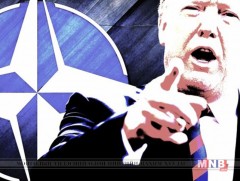 Доналд Трамп АНУ-ыг НАТО-гоос гаргах хүсэл эрмэлзлэлтэй хэвээр байна