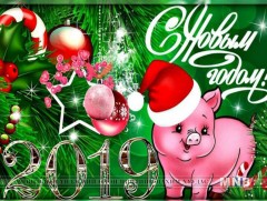 Сайн байна уу, шинэ он