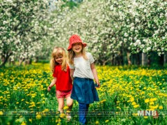 Скандинавын орнууд хүүхдэд хамгийн ээлтэй