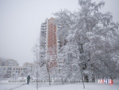 Москвад сүүлийн 140 жилд тохиогоогүй хүчтэй цасан шуурга боллоо