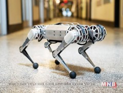 “Cheetah” робот сальто эргэж сурчээ