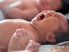 Төрөлт 1.1 хувиар нэмэгджээ