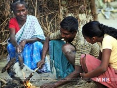 Тоо толгой нь цөөрдөггүй “амттан”