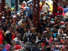 Венесуэлийн цагаачлалын хямралтай тэмцэхэд 228.5 сая ам.доллар зарцуулна