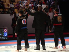 Жюү жицүгийн тамирчид ДАШТ-ээс богц дүүрэн медальт ирнэ - 2