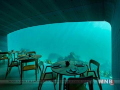 Европын анхны усан доорх ресторан үйлчлүүлэгчдээ хүлээн авч байна