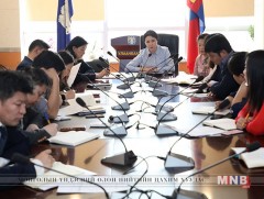 Нийслэл, агентлаг, дүүргийн хөгжлийн бодлого төлөвлөгч нар чадавхаа дээшлүүлж байна