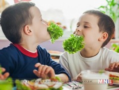 А аминдэм дутлын шалтгаан 